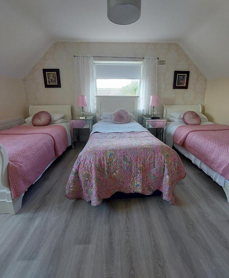 Brandon View House B&B Graiguenamanagh Exterior photo