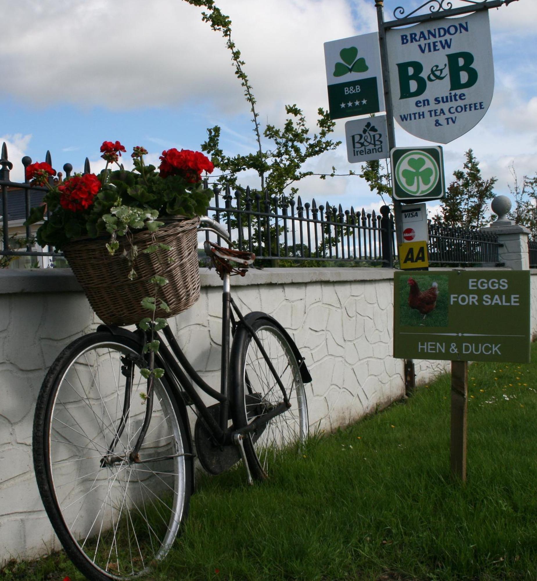 Brandon View House B&B Graiguenamanagh Exterior photo