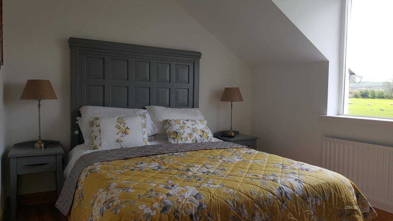 Brandon View House B&B Graiguenamanagh Exterior photo