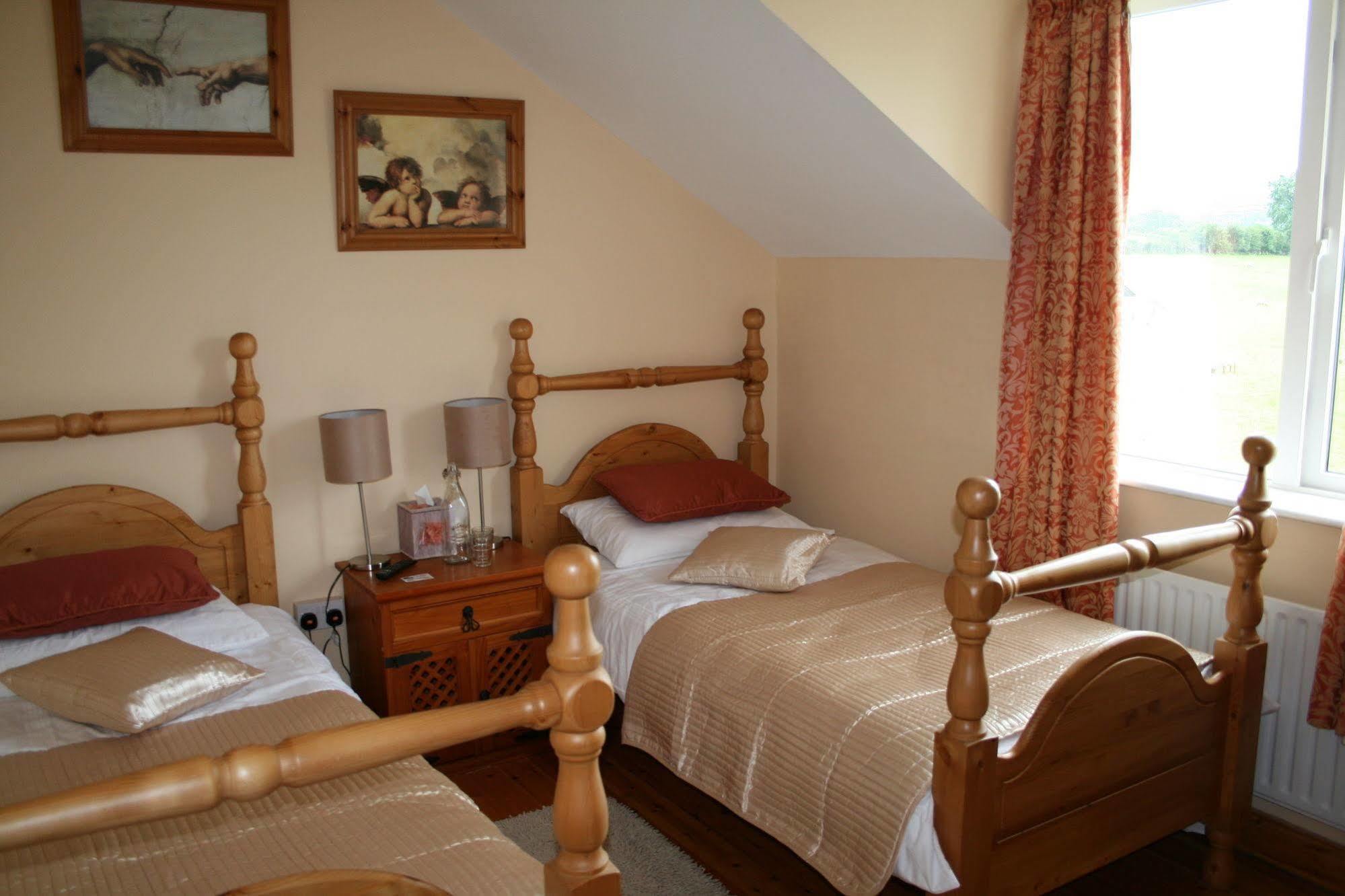 Brandon View House B&B Graiguenamanagh Exterior photo