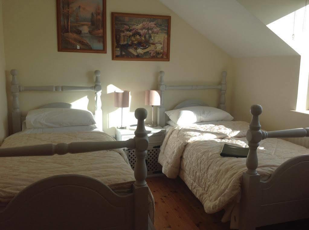 Brandon View House B&B Graiguenamanagh Exterior photo