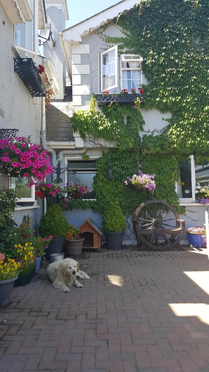 Brandon View House B&B Graiguenamanagh Exterior photo