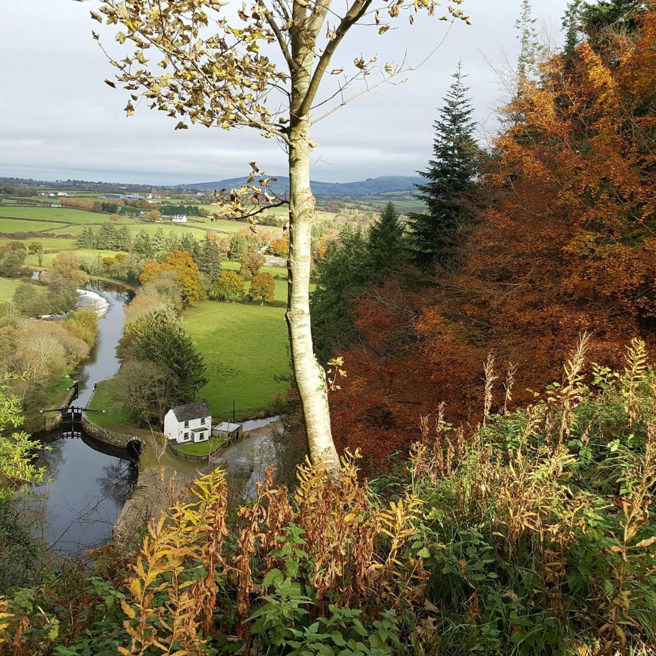 Brandon View House B&B Graiguenamanagh Exterior photo